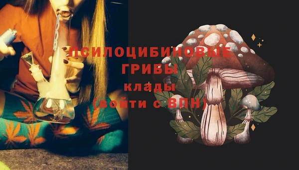 прущая мука Краснослободск