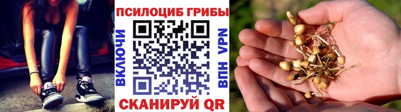Псилоцибиновые грибы мицелий  Могоча 