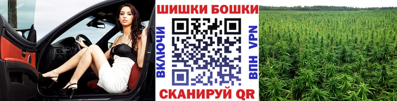 Шишки марихуана Amnesia  Могоча 